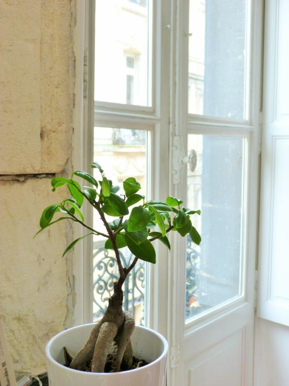 L'Appart D'Oli Et Tiane Bordeaux Pokoj fotografie